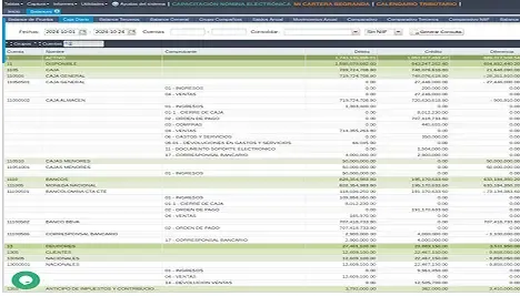 Captura de pantalla de informe de balance de cuentas